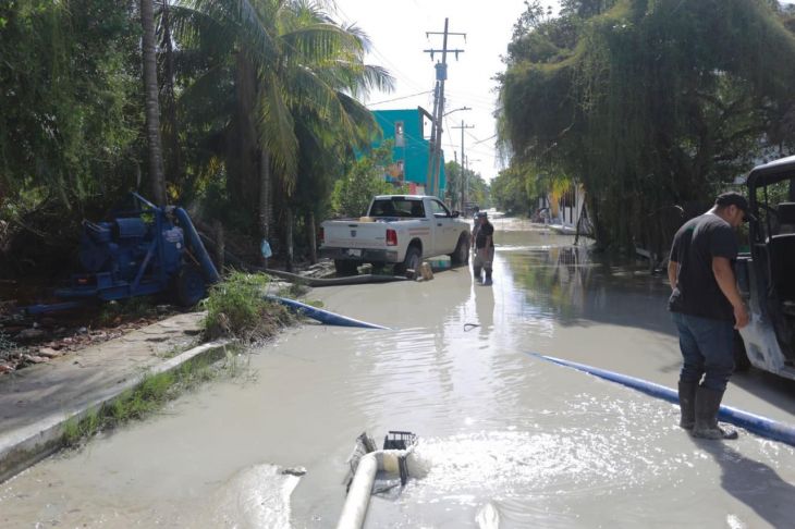 La Jornada Maya Quintana Roo La Jornada Maya Quintana Roo