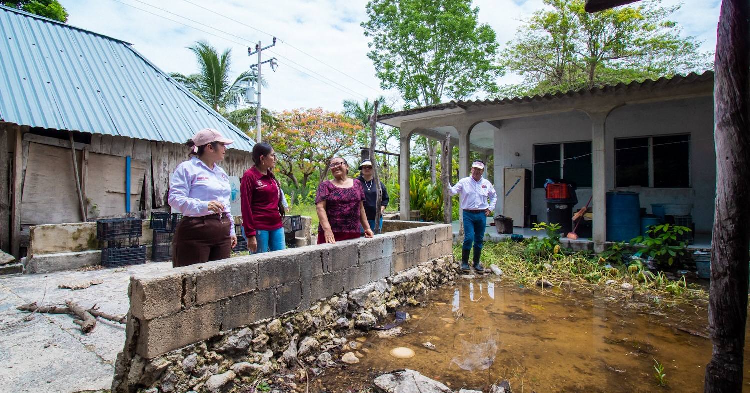 La Jornada Maya Campeche La Jornada Maya Tras Las Lluvias