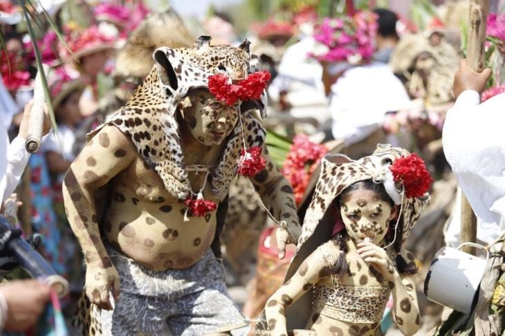 La Jornada Maya Nacional Astrid Sánchez Danza Del Pochó El Baile Maya Del Carnaval ‘más 8300