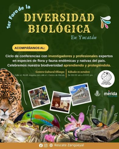 La Jornada Maya | Yucatán | Juan Manuel Contreras | Invitan a Foro de la  Diversidad Biológica en Yucatán