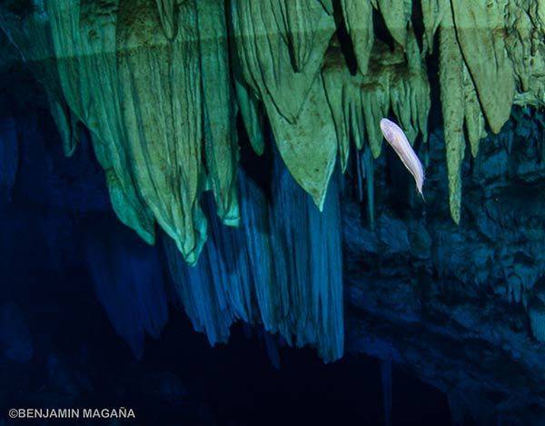 Al día de hoy, la cueva Dama Blanca se encuentra intacta