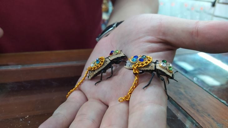 Live on sale beetle brooch